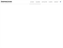 Tablet Screenshot of giuseppinalucchesi.com